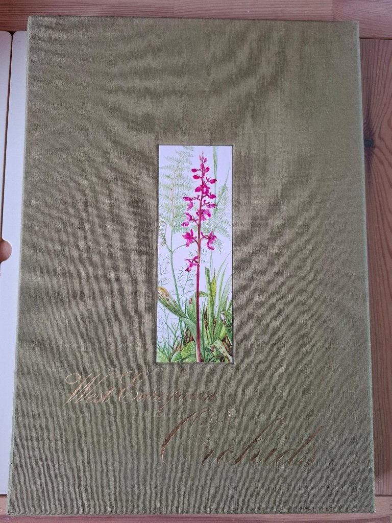West European Orchids Elisa Klopfenstein, Livres, Nature, Diverse auteurs, Comme neuf, Enlèvement, Fleurs, Plantes et Arbres