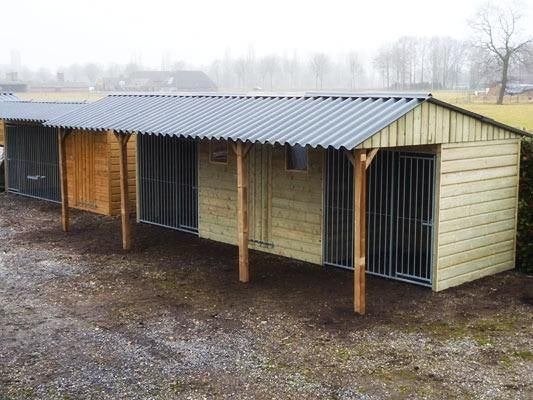 Hondenkennel 'Max' met tuinhuis-opslag, Enlèvement, Neuf, Chenil chien