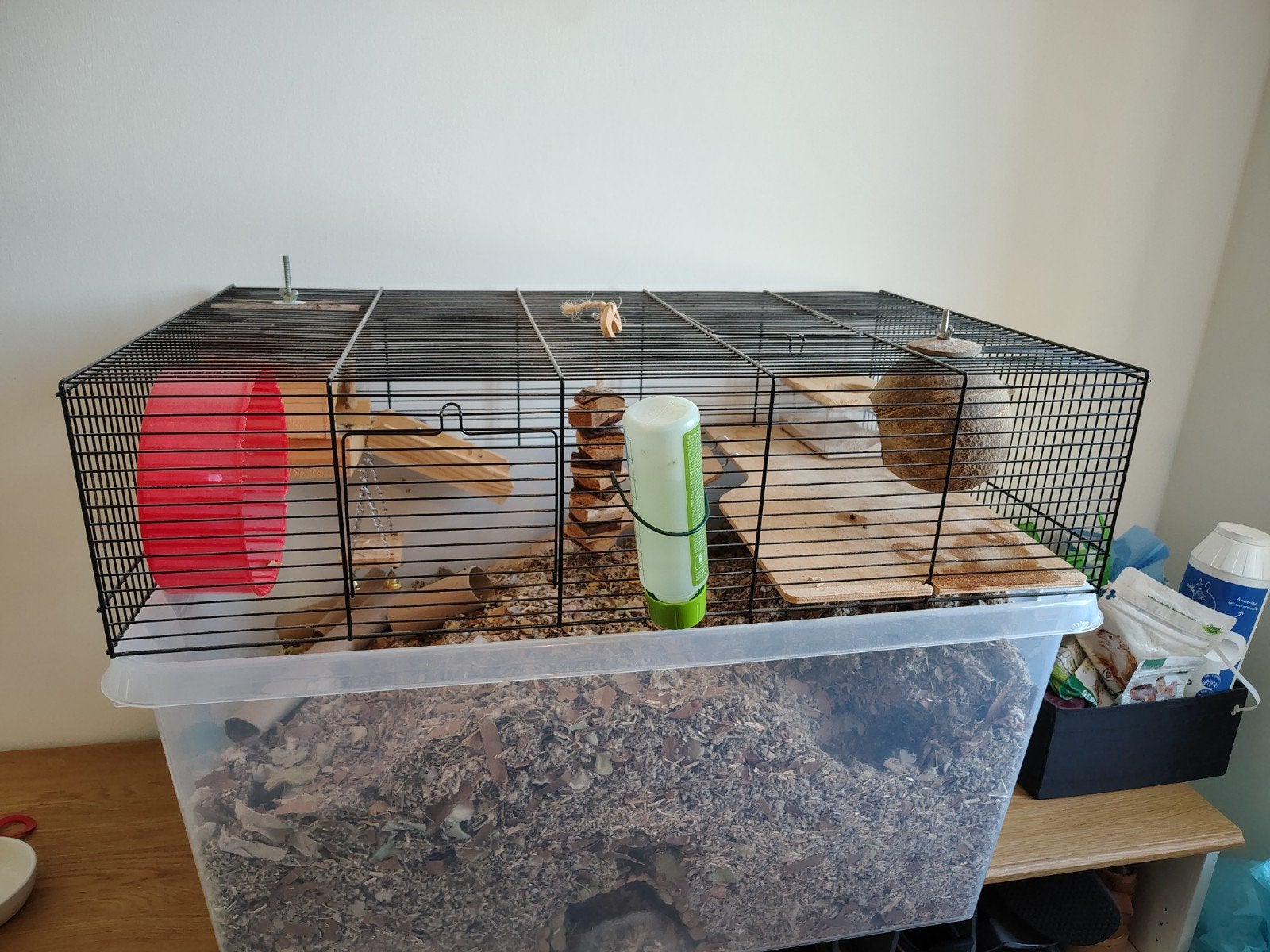 Gerbil zoekt een nieuwe thuis (inclusief kooi & accessoires), Dieren en Toebehoren, Ophalen, Gebruikt, Overige typen