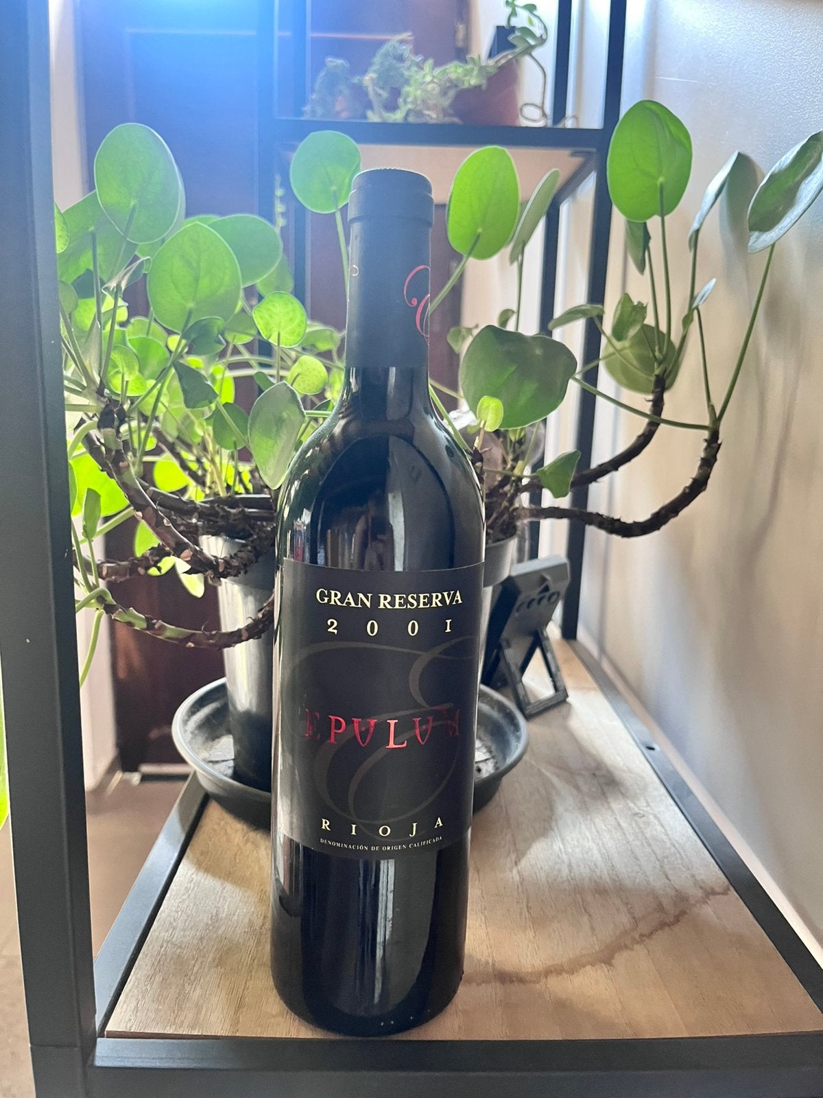 Epulum gran reserve 2001, Ophalen, Spanje, Zo goed als nieuw, Rode wijn