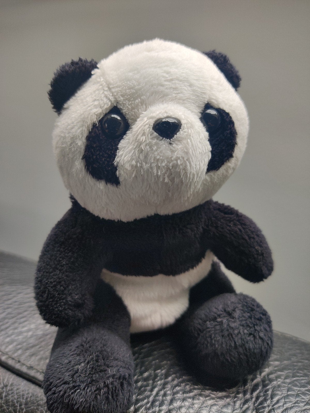 Klein pandabeertje, Enlèvement ou Envoi
