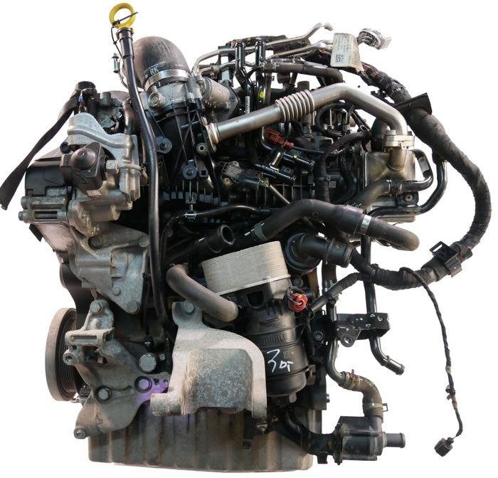 Moteur d'occasion VW Transporter T6 2.0 TDI - CXHC-CXH, Envoi, Révisé, Volkswagen