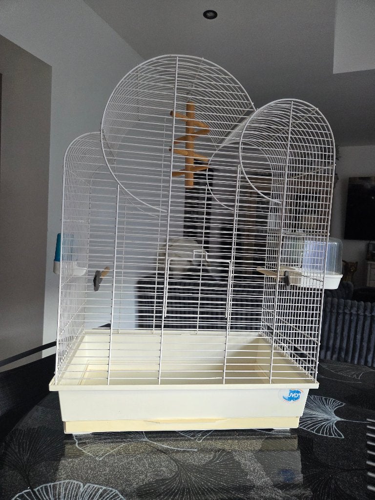 Grande Cage à oiseau, Animaux & Accessoires, Enlèvement, Comme neuf
