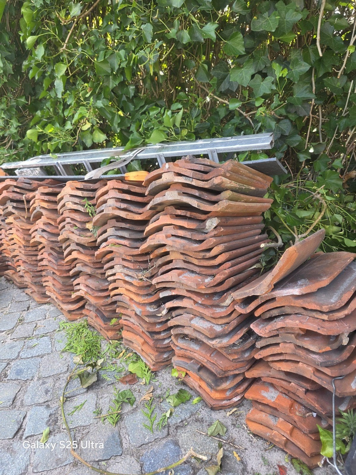 boomse dakpannen, Enlèvement, Tuiles