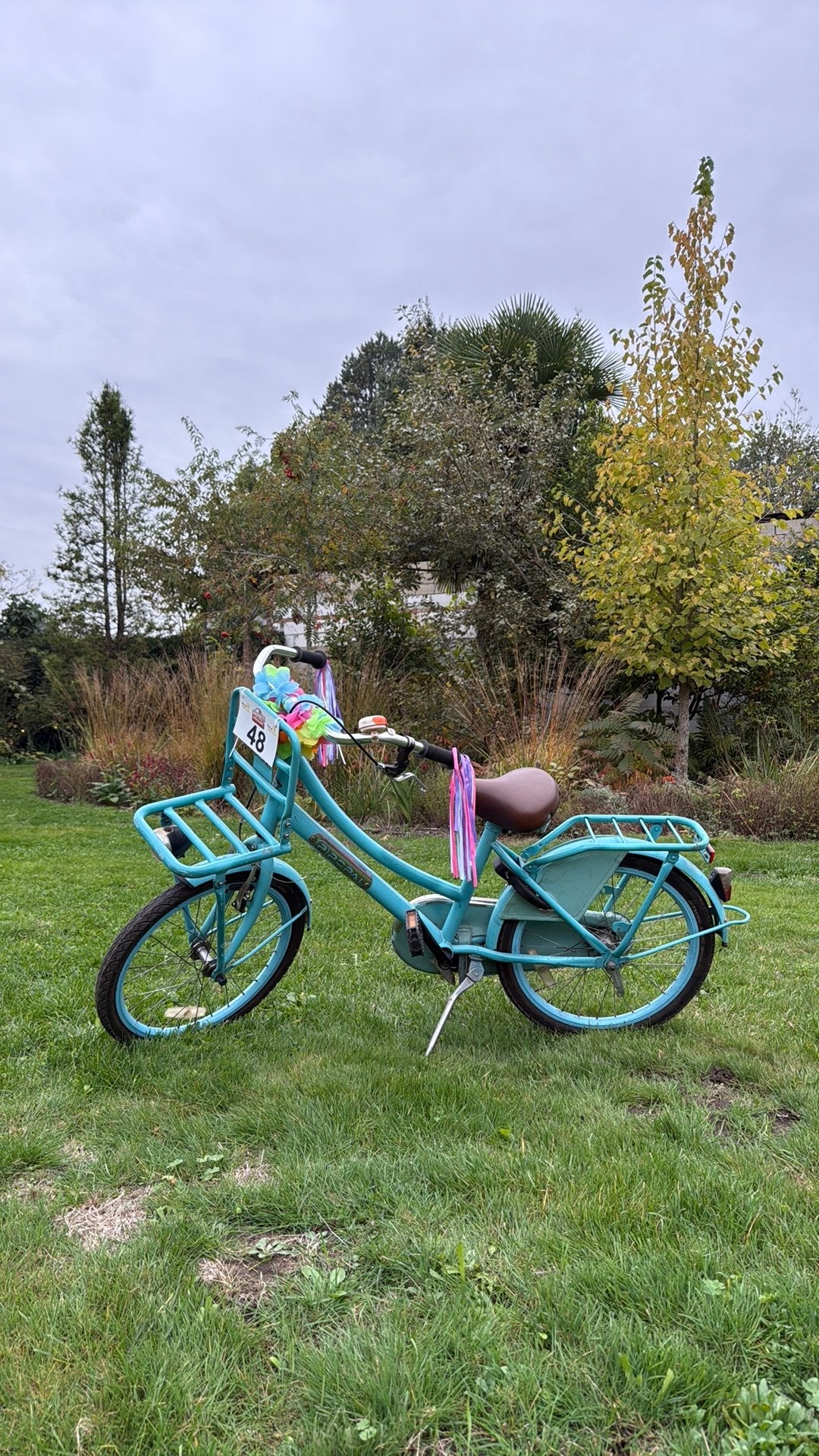 Meisjesfiets 20inch, Ophalen, Zo goed als nieuw