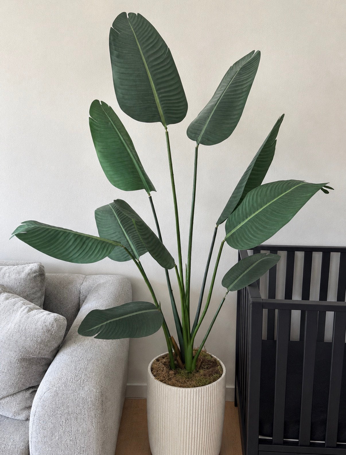 Strelitzia kunstplant WOOOD, Huis en Inrichting, Ophalen