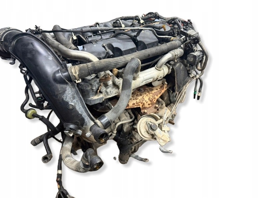 Moteur RHJ Nu C8 307 C4 JUMPY C5 PEUGEOT 508 807 308 EXPERT