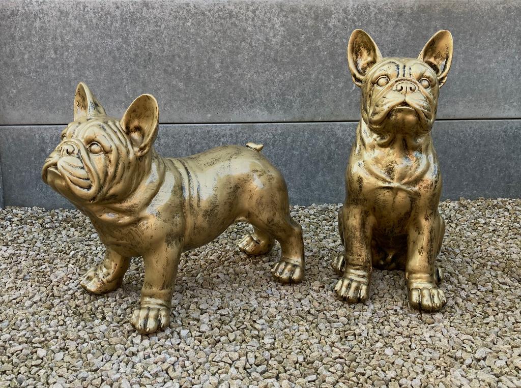 Beeld Franse Bulldog WEG = WEG, Ophalen, Nieuw, Dier