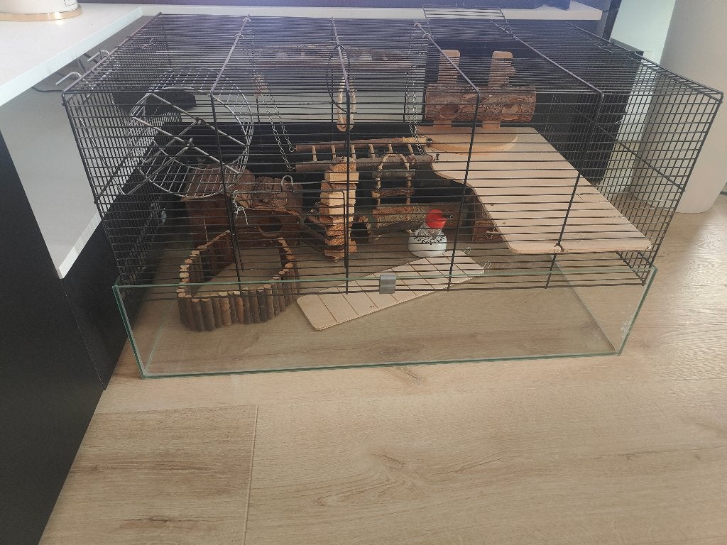 Luxe hamsterkooi, Dieren en Toebehoren, Ophalen, Zo goed als nieuw, Kooi, Muis