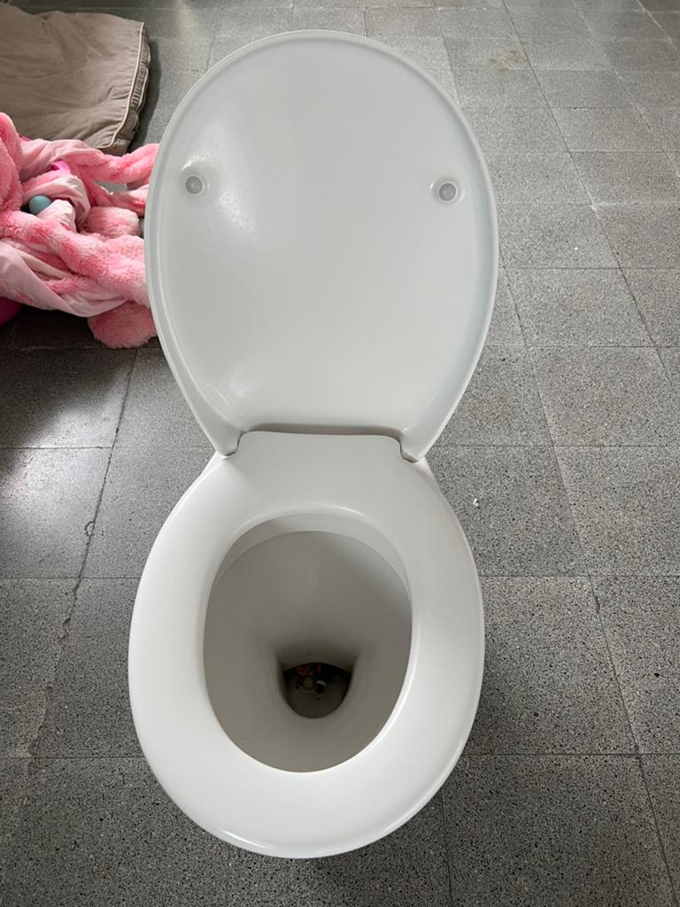 *GRATIS* toilet, Doe-het-zelf en Bouw, Sanitair, Ophalen, Gebruikt, Toilet