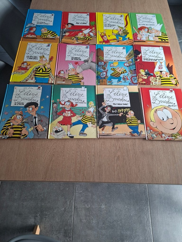 Livres/BD  Ducobu Tomes 11 à 22, Livres, Plusieurs BD, Enlèvement, Comme neuf, Godi & Zidrou