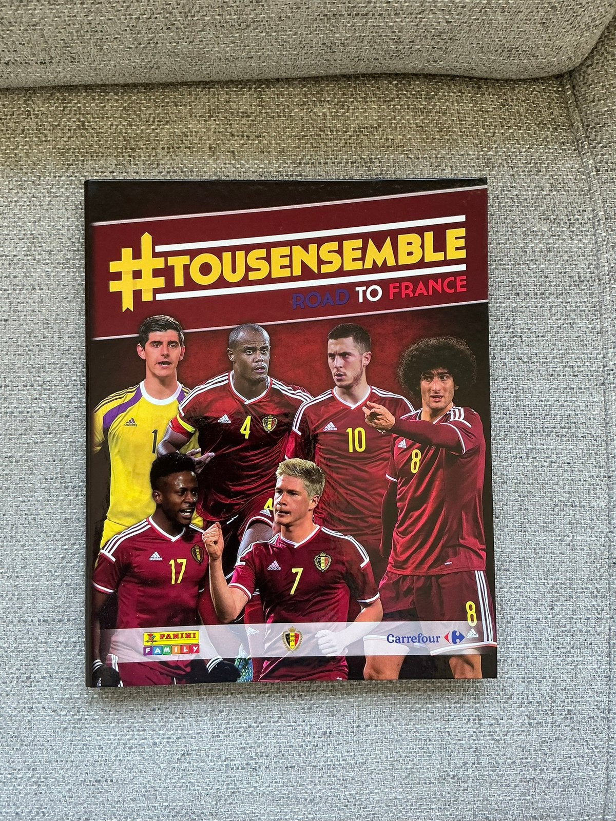 Panini #tousensemble Road to France EK 2016, Ophalen of Verzenden, Nieuw, Balsport