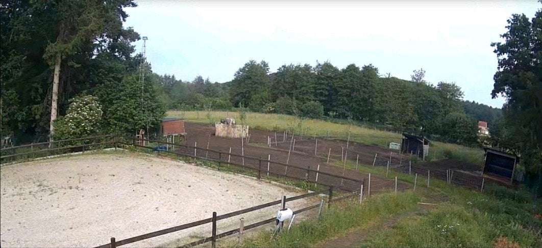 pensionstal met browsing paddock, Dieren en Toebehoren, Stalling, 2 of 3 paarden of pony's