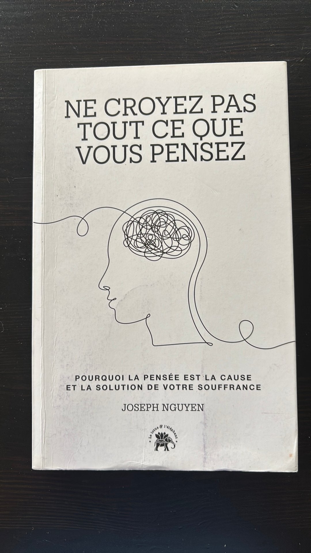 Ne croyez pas tout ce que vous pensez - Joseph Nguyen, Enlèvement, Comme neuf