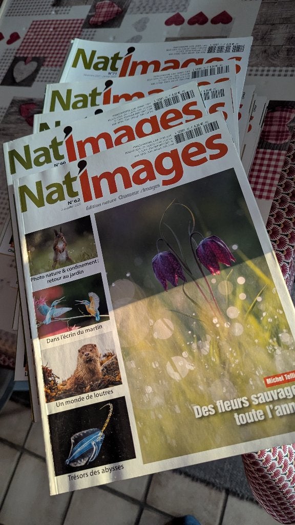 Nat'Images, Livres, Art & Culture | Photographie & Design, Enlèvement, Comme neuf, Photographes, Différents auteurs