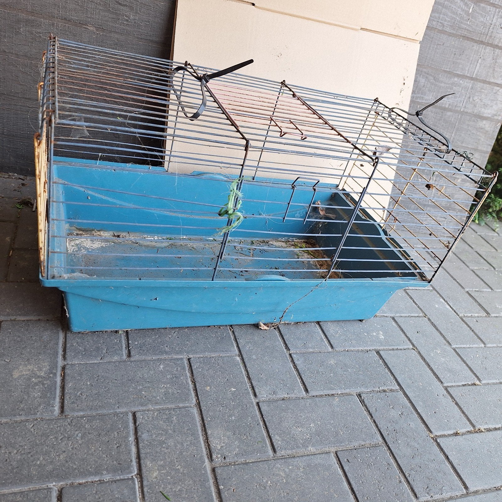 Kooi knaagdieren, Dieren en Toebehoren, Ophalen, Kooi