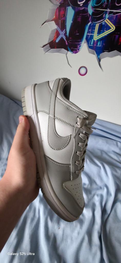 Nike dunk frog m 42, Ophalen