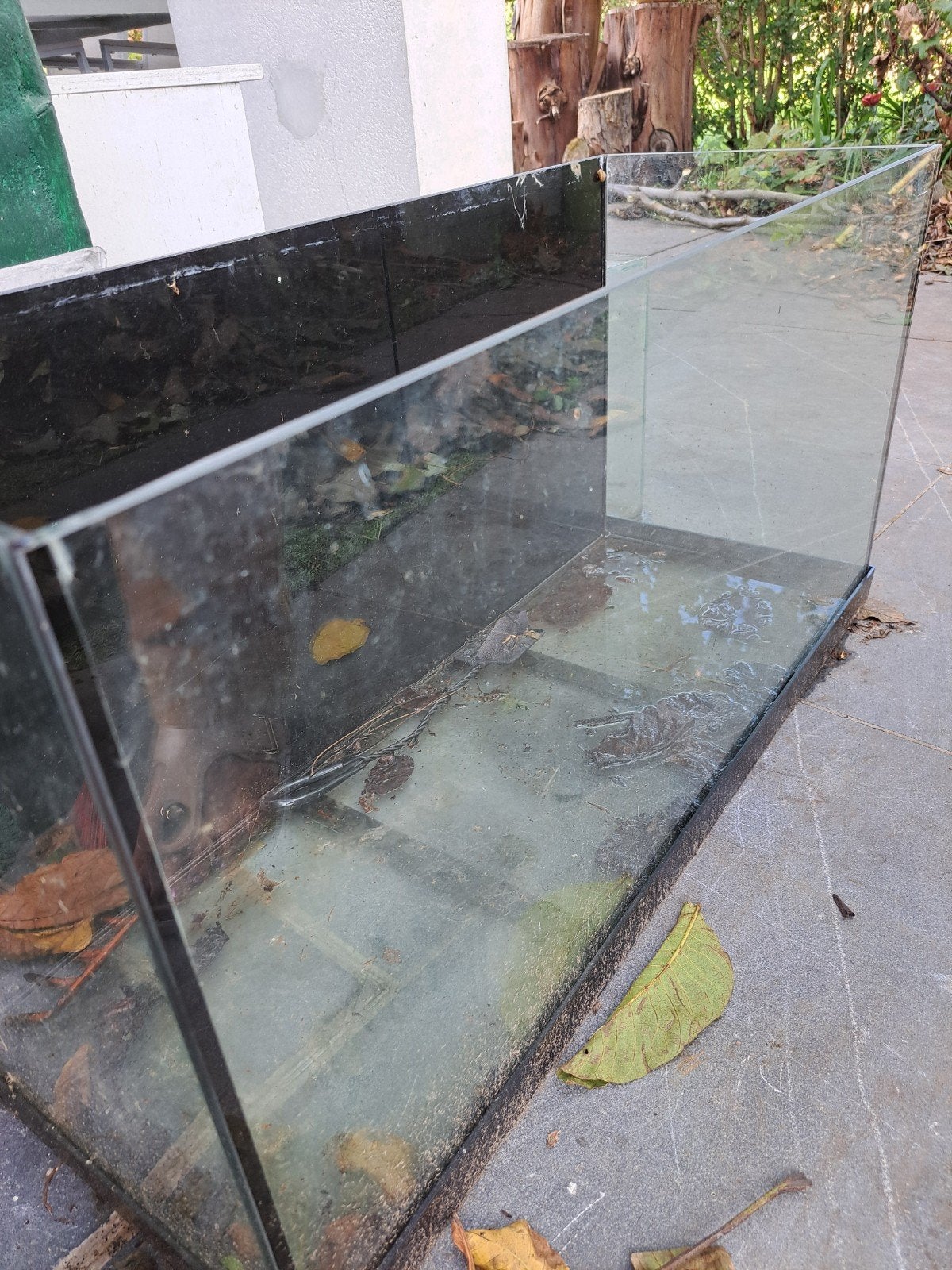 aquarium, terrarium, Ophalen