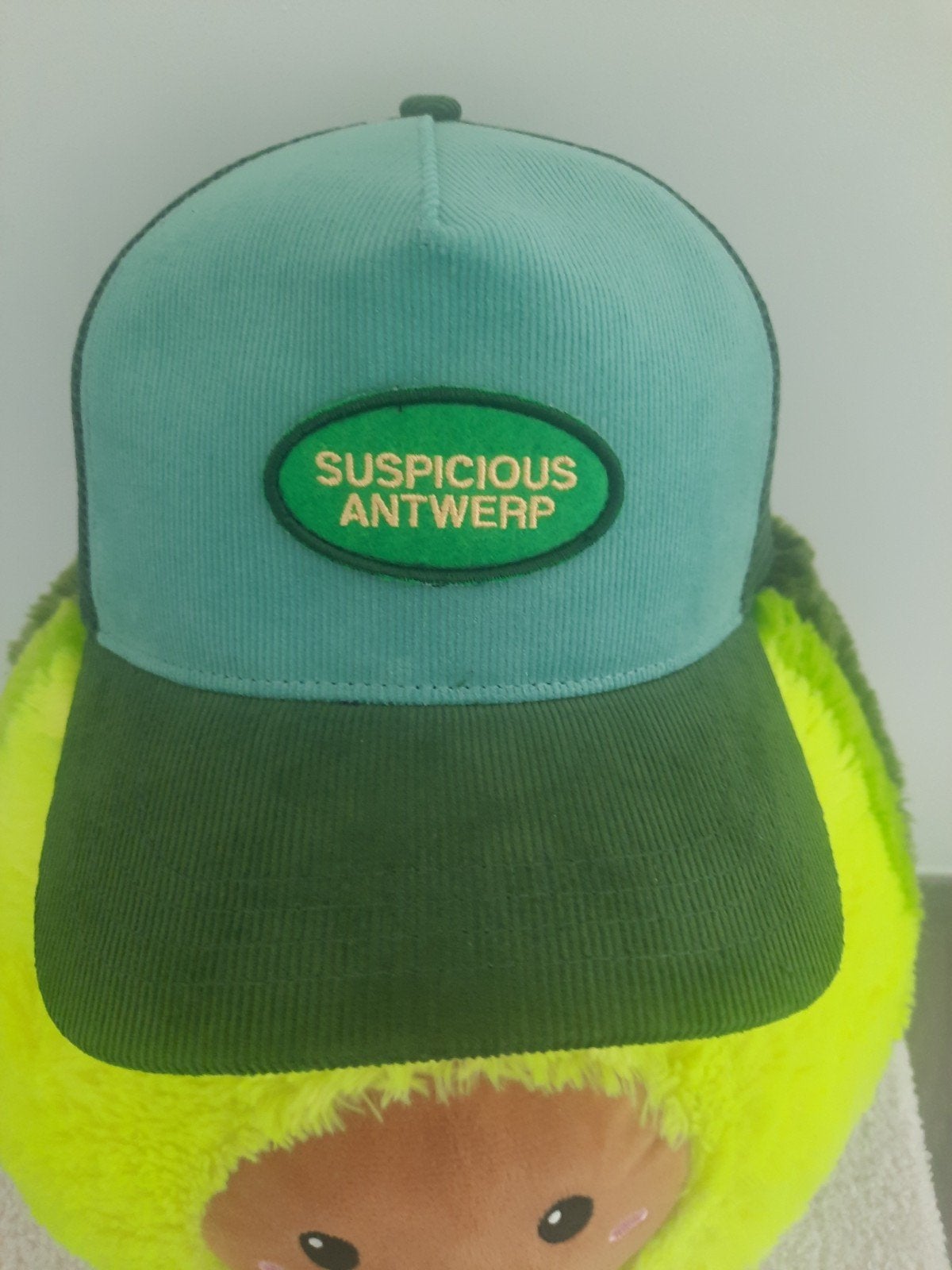 Antwerp Suspicious pet, Nieuw, Pet, Antwerp Suspicious, One size fits all