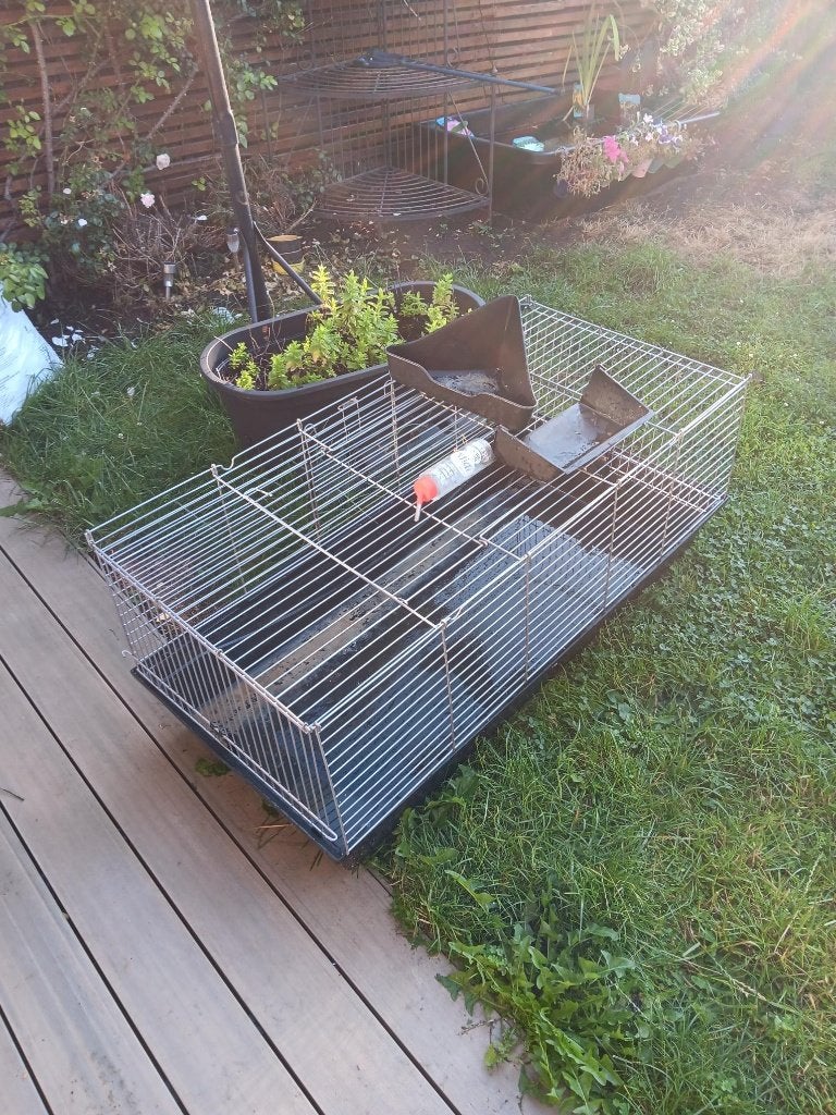 Cage à lapin, Lapin, Moins de 60 cm, Cage, Enlèvement