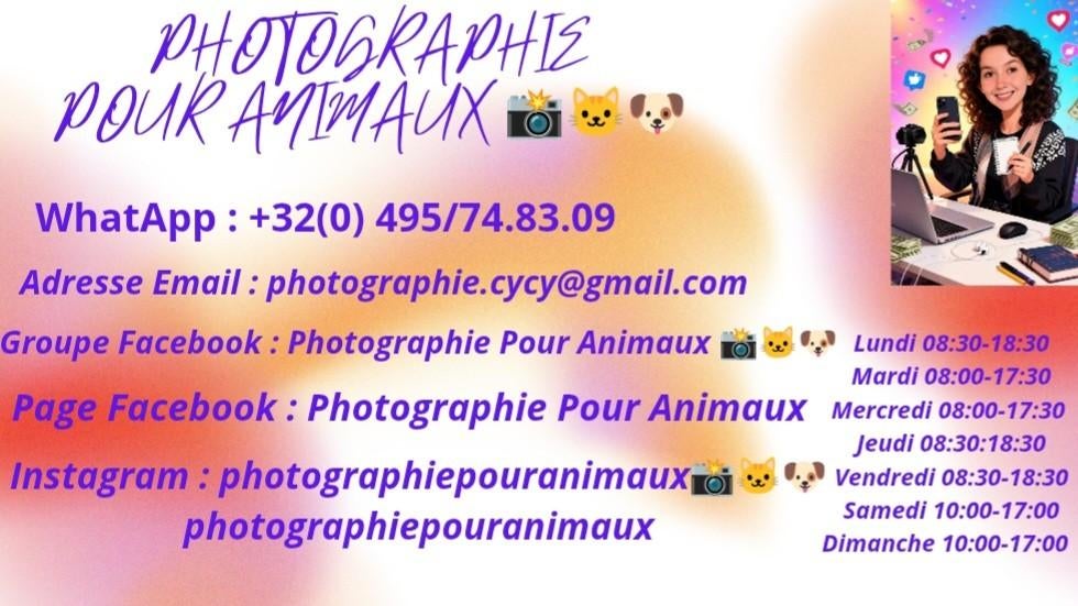 Photographe Pour Animaux, Enlèvement