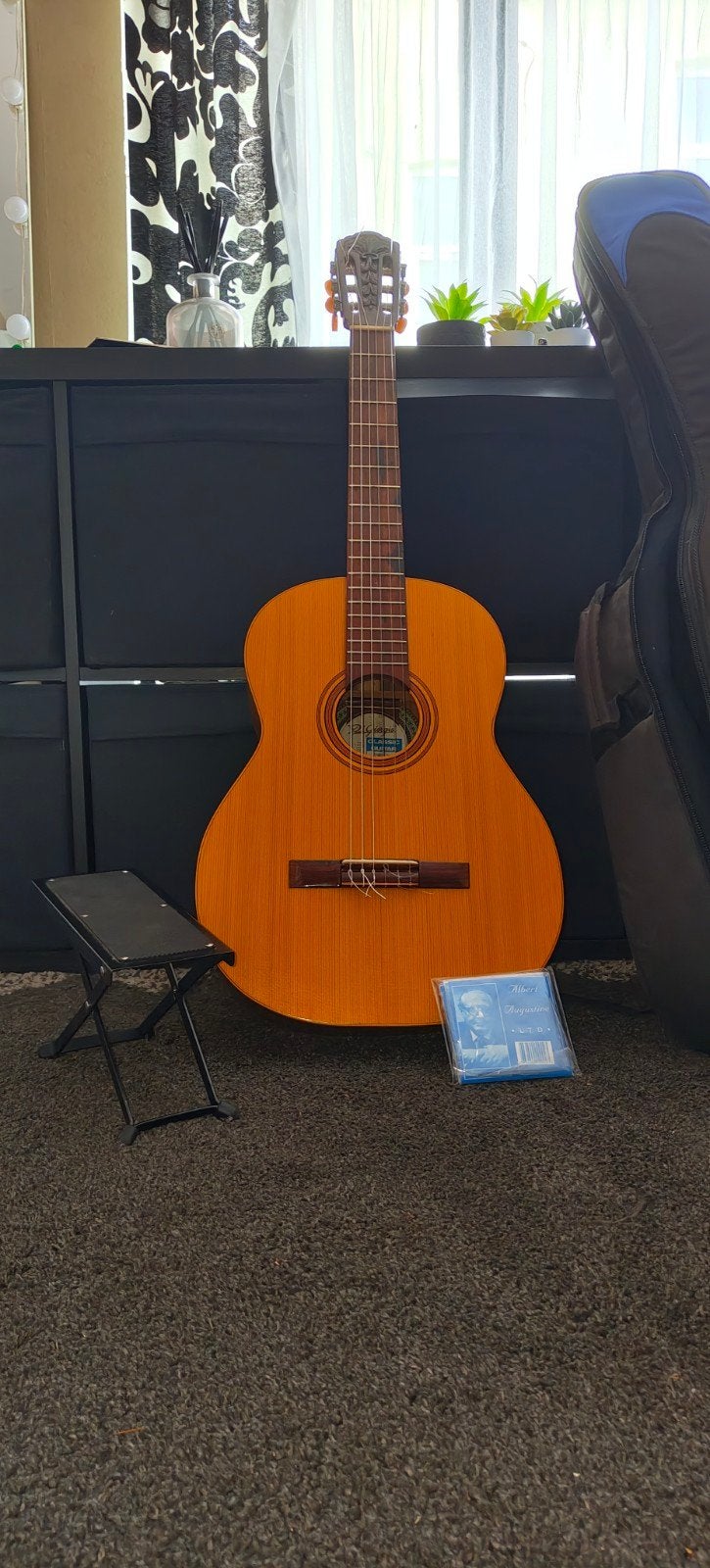 Di Giorgio acoustic guitar, Muziek en Instrumenten, Snaarinstrumenten | Gitaren | Akoestisch, Ophalen