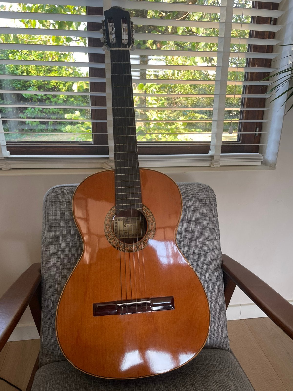 Gitaar Esteve Cedro, Ophalen of Verzenden, Zo goed als nieuw, Klassieke of Spaanse gitaar