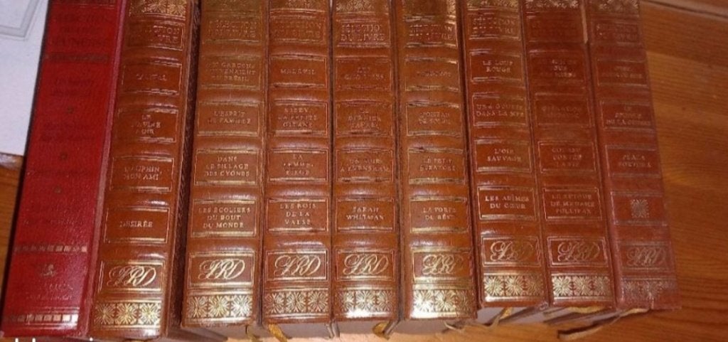 Livres anciens divers, Enlèvement