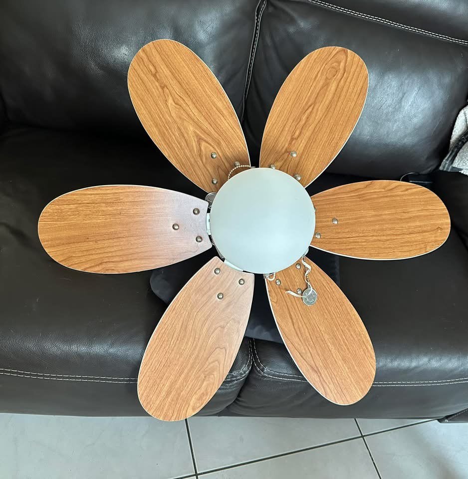 Ventilateur, Electroménager, Enlèvement, Comme neuf