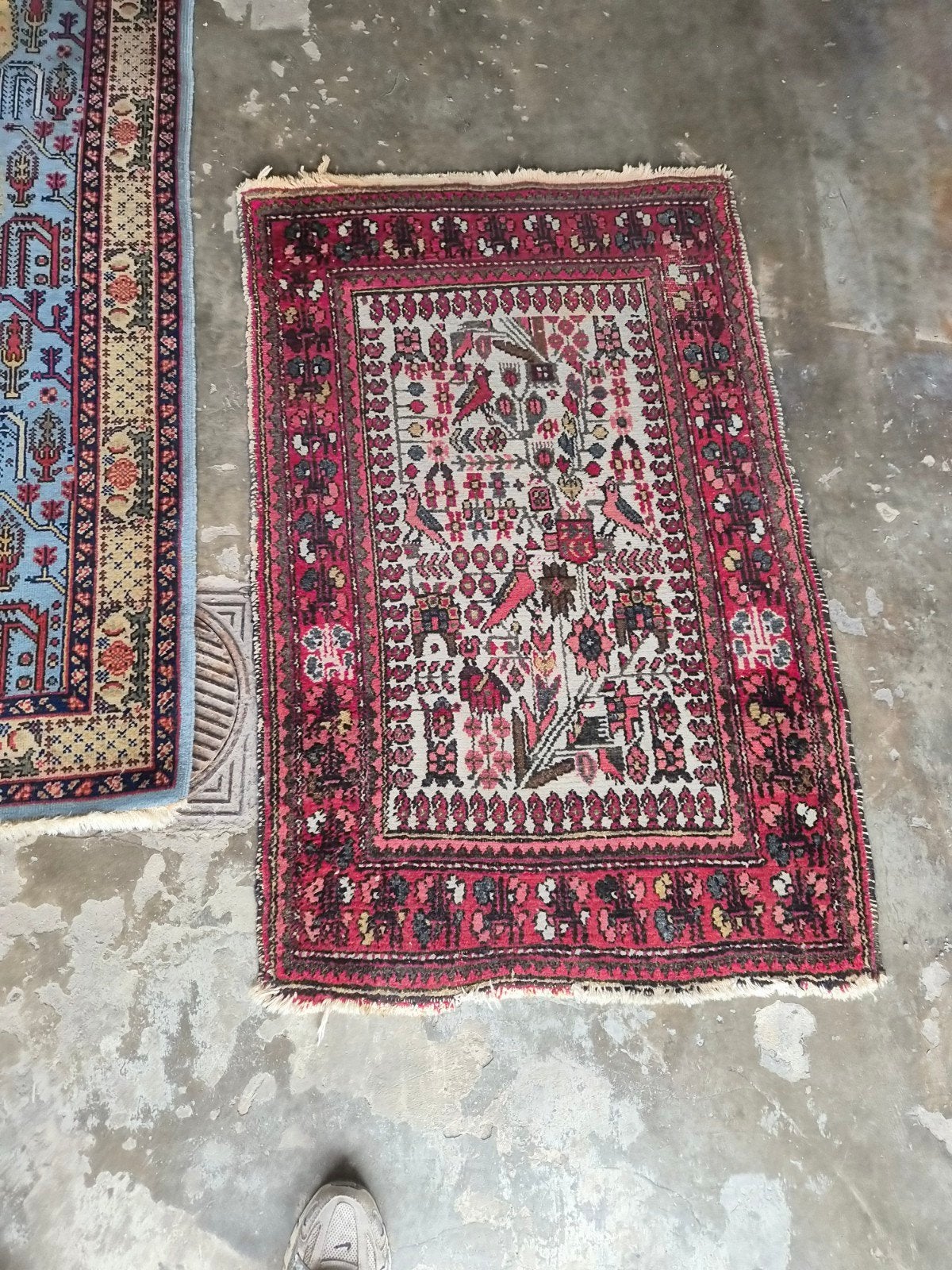 tapis