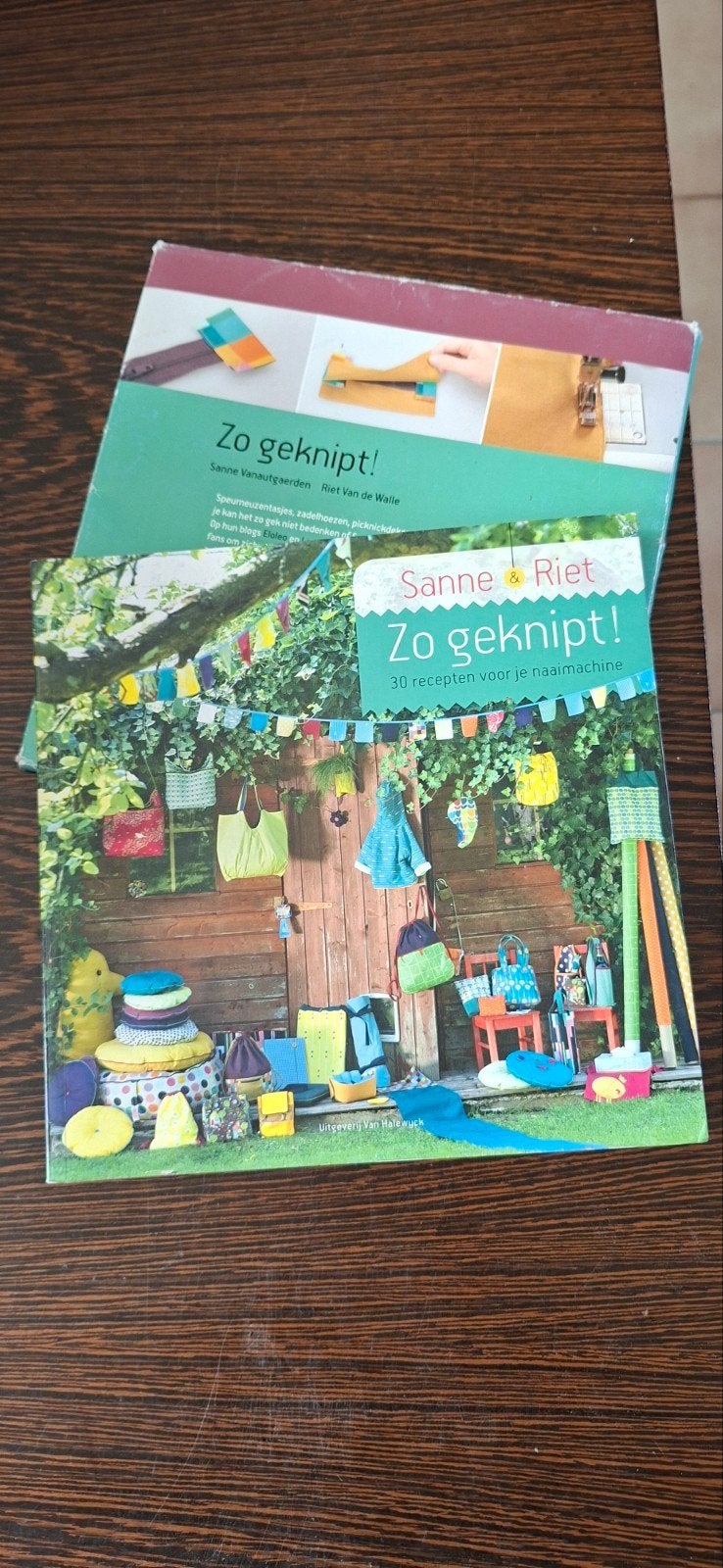 Riet van de Walle - Zo geknipt, Livres, Enlèvement, Riet van de Walle; Sanne Vanautgaerden
