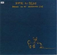 RAYMOND VAN HET GROENEWOUD KAMIEL IN BELGIE, CD & DVD, Enlèvement ou Envoi, Pochette photo, Comme neuf, Cabaret ou Arts de la scène