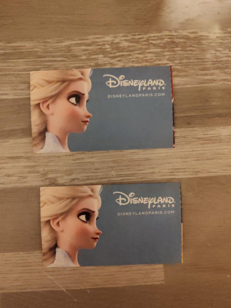 2 places Disney 1 jour 2 parcs, Tickets & Billets