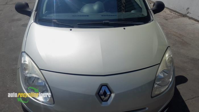 Capot d'un Renault Twingo (MV190), -, Renault, -, 3 mois de garantie
