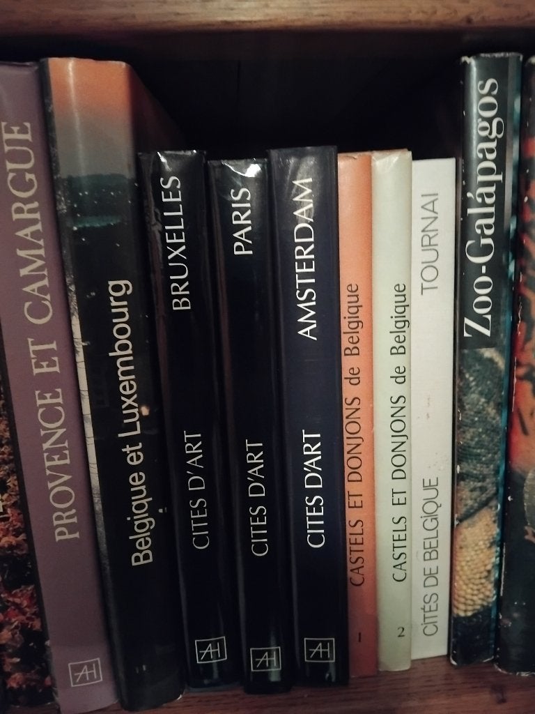 livre artis historia, Livres, Livres d'images & Albums d'images, Enlèvement