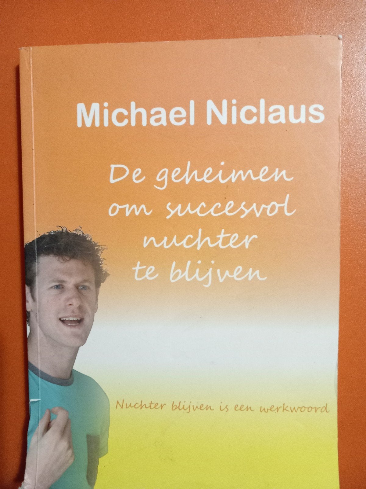 De geheimen om succesvol nuchter te blijven -> 2€, Boeken, Ophalen, Zo goed als nieuw, Overige onderwerpen, Niclaus