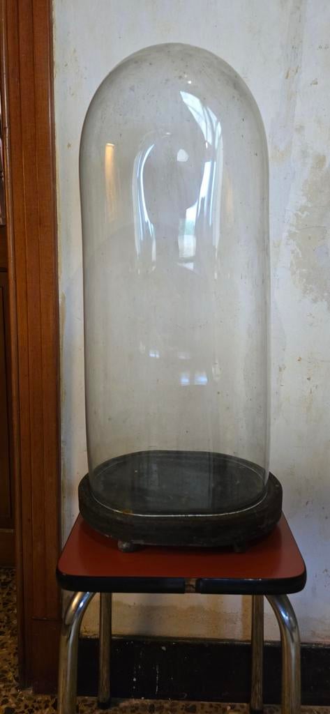 Oval Married Globe, Ophalen