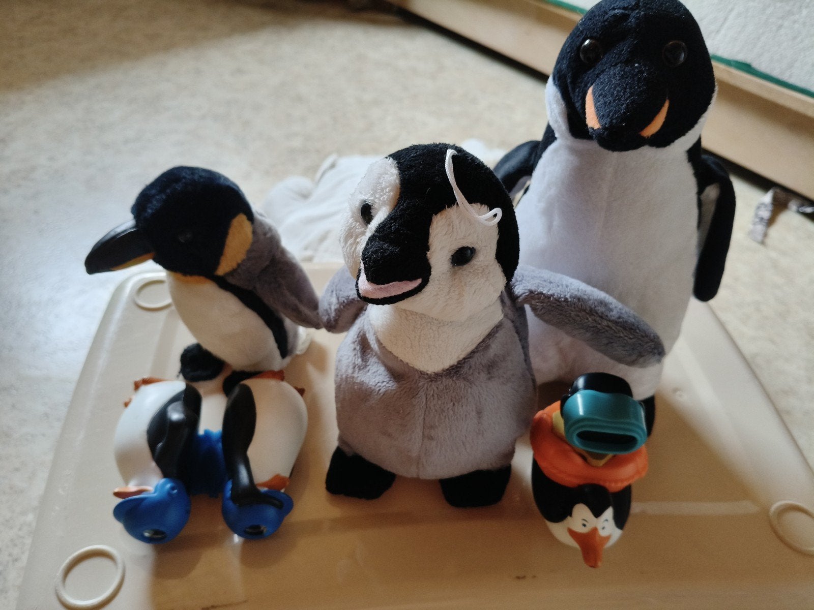 Familie pinguin knuffels en verrekijkers, Ophalen