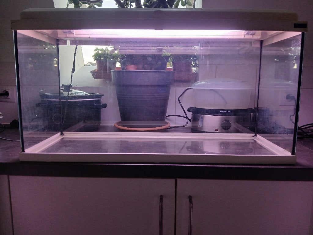 Aquarium 80x30x40 ruilen voor kleiner, Animaux & Accessoires, Poissons | Aquariums & Accessoires, Enlèvement, Utilisé, Aquarium vide