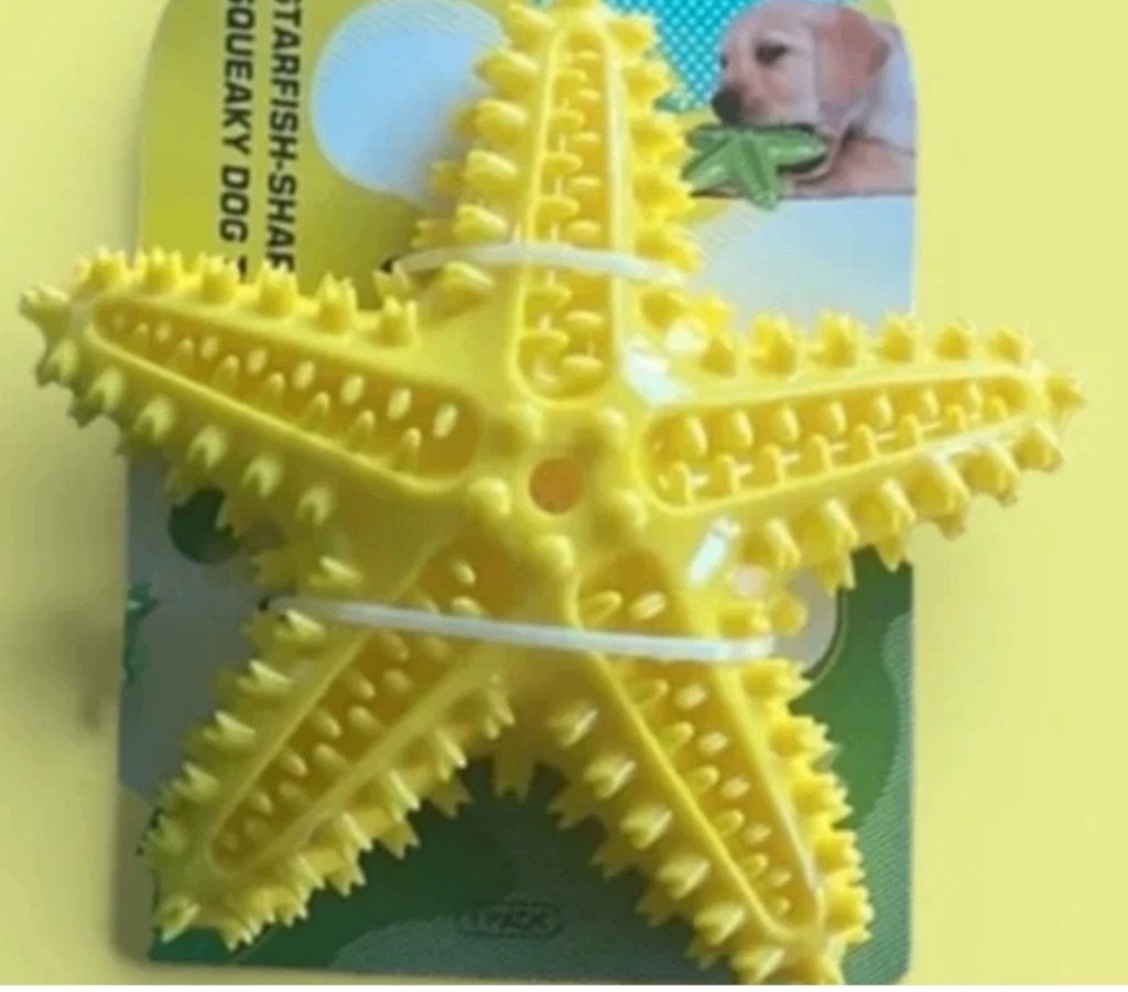 Jeux étoile chien qui couine, Animaux & Accessoires, Autres marques, Envoi, Neuf, Autres types