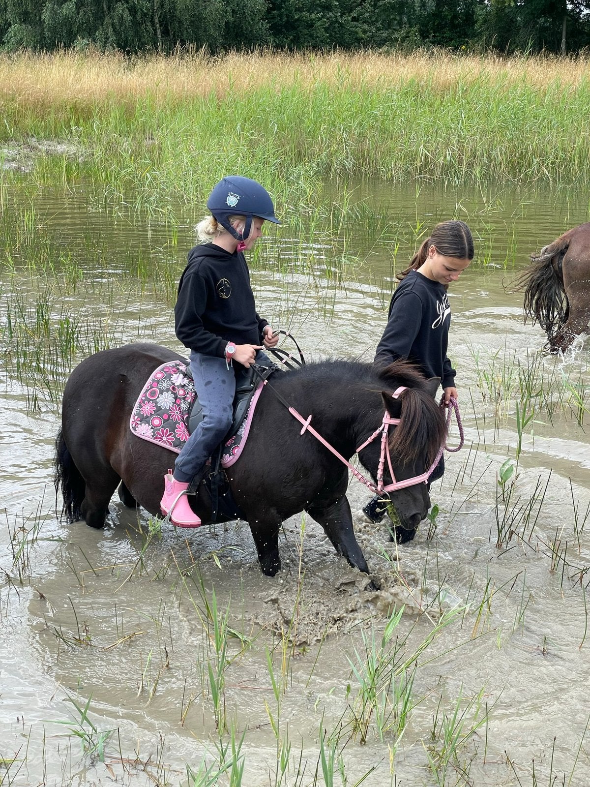 De leukste shetlander merrie zoekt topadresje!, Dieren en Toebehoren, Merrie, A pony (tot 1.17m), 11 jaar of ouder, Recreatiepony