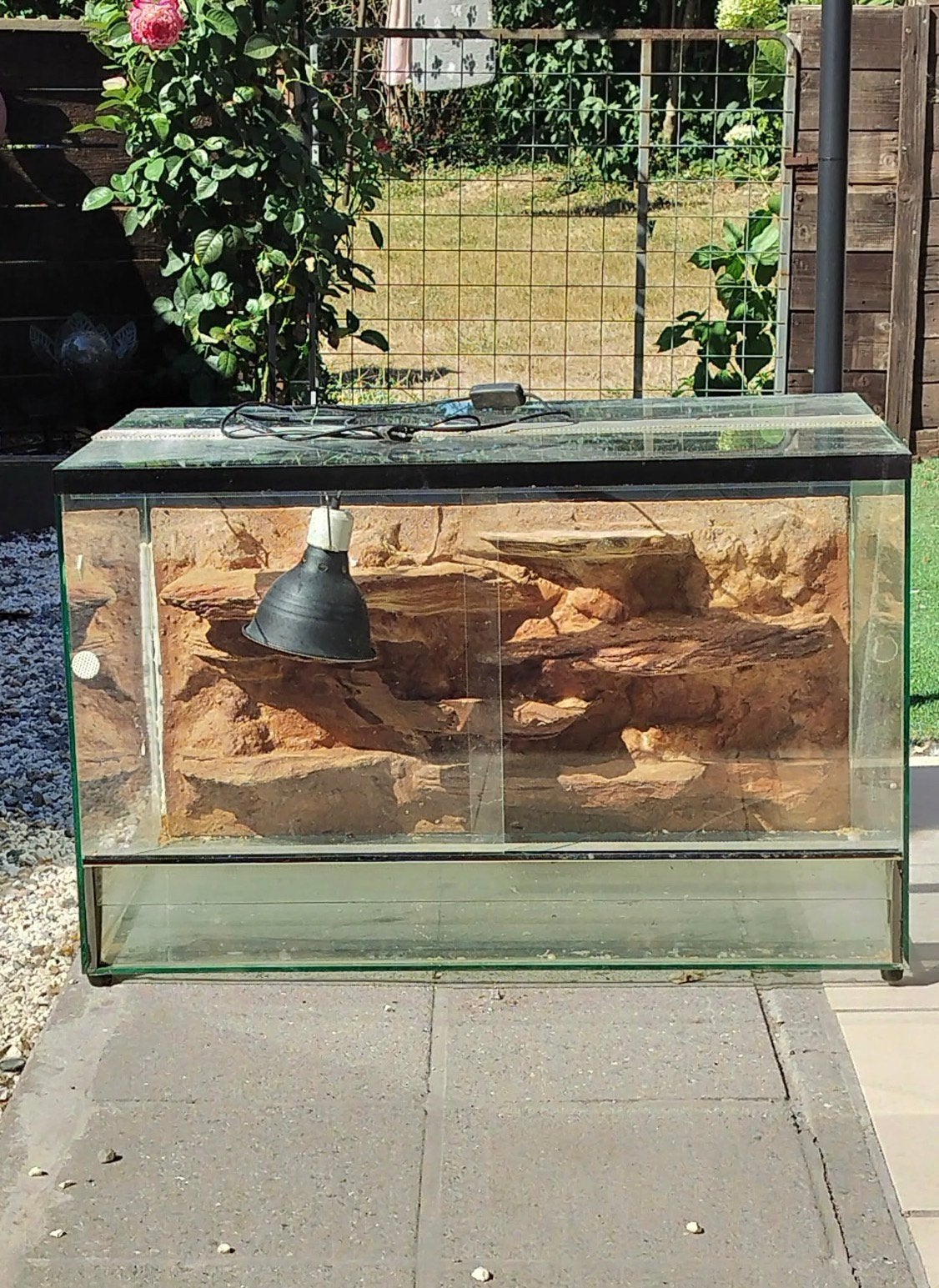 Terrarium, Enlèvement, Comme neuf