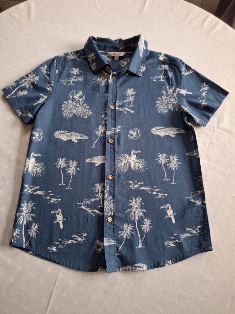 Jongenshemdjes maat 140, Kinderen en Baby's, Kinderkleding | Maat 134, Ophalen of Verzenden, Zo goed als nieuw, Jongen, Overhemd of Blouse