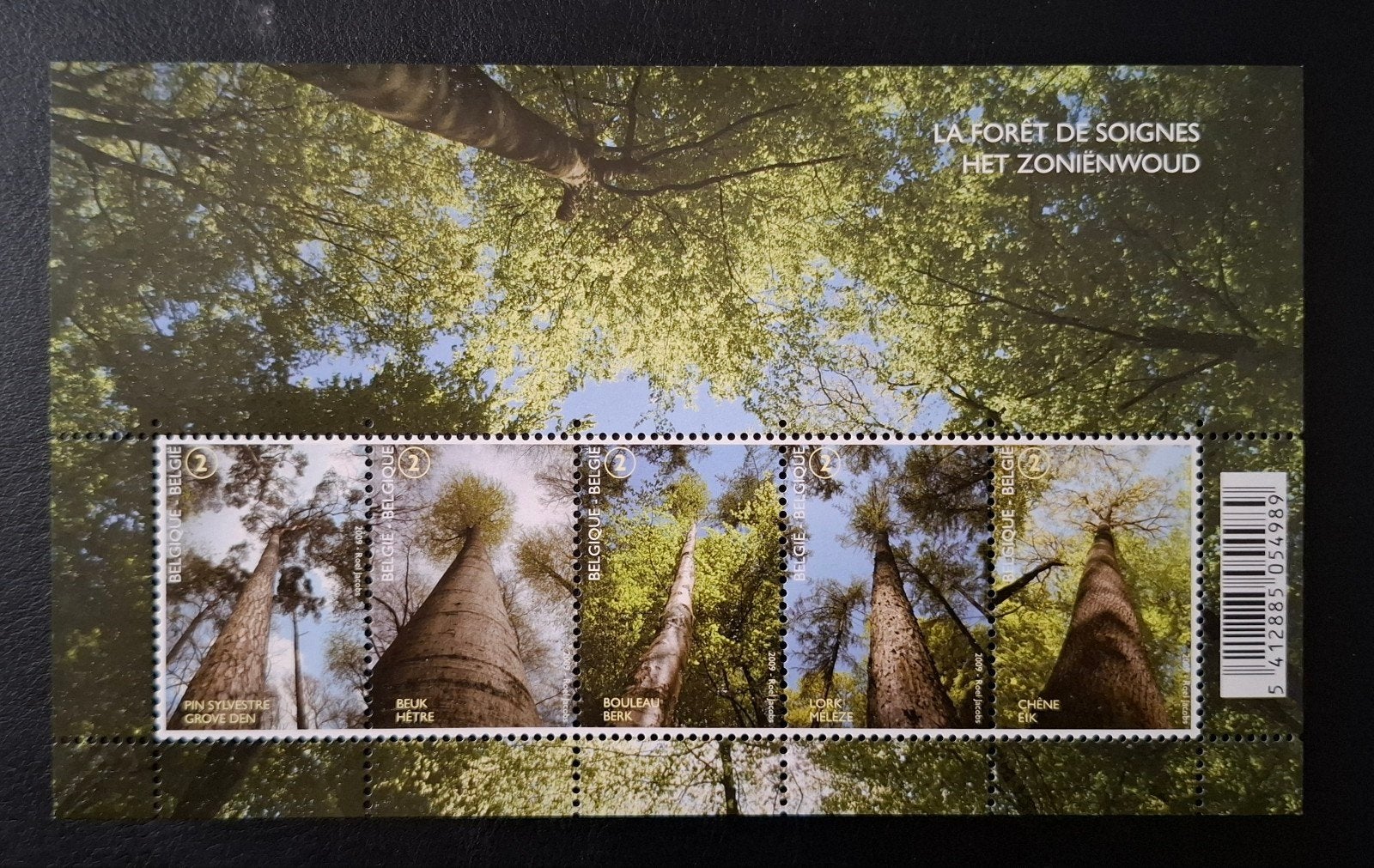 België: OBP 3951/55-BL172 ** Het Zoniënwoud 2009., Frankeerzegel, Ophalen of Verzenden, Zonder stempel, Postfris