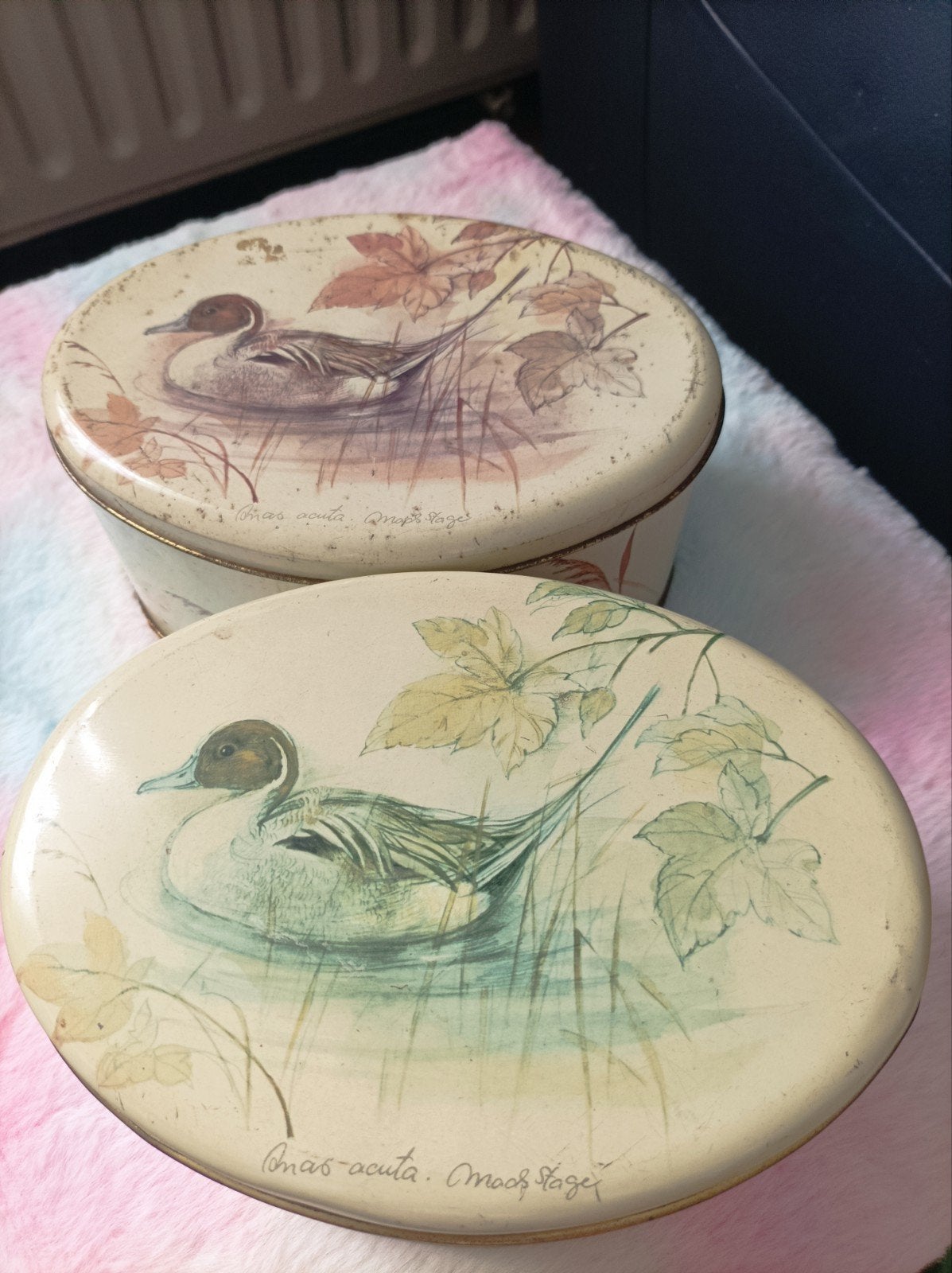 2 boîtes en fer blanc vintage, Maison & Meubles, Accessoires pour la Maison | Sous-verres & Sous-plats, Enlèvement ou Envoi