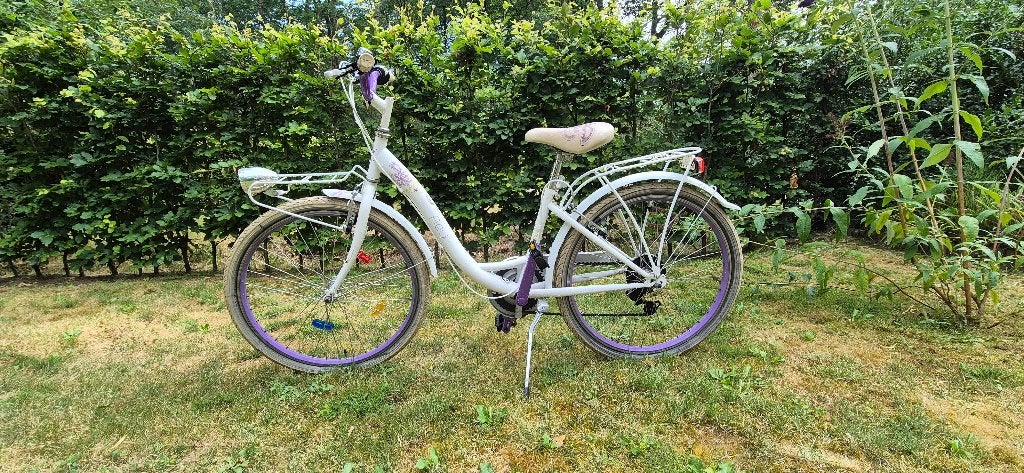 Meisjesfiets 24 inch, Ophalen, Velgrem, Golden Lion Fleur, Handrem