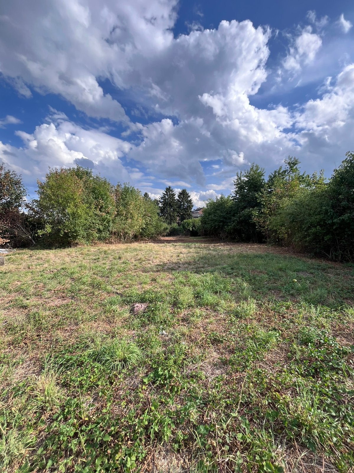 À louer : Terrain de 3 000 m² entièrement clos à Jumet, Animaux & Accessoires