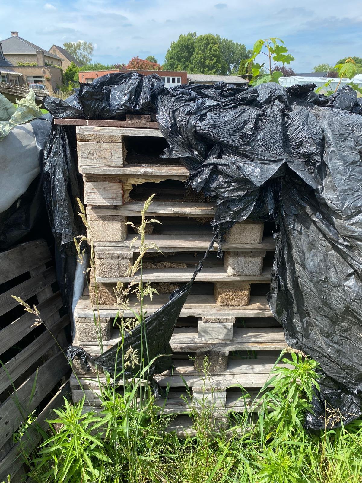 Houten paletten: GRATIS, Tuin en Terras, Brandhout, Ophalen