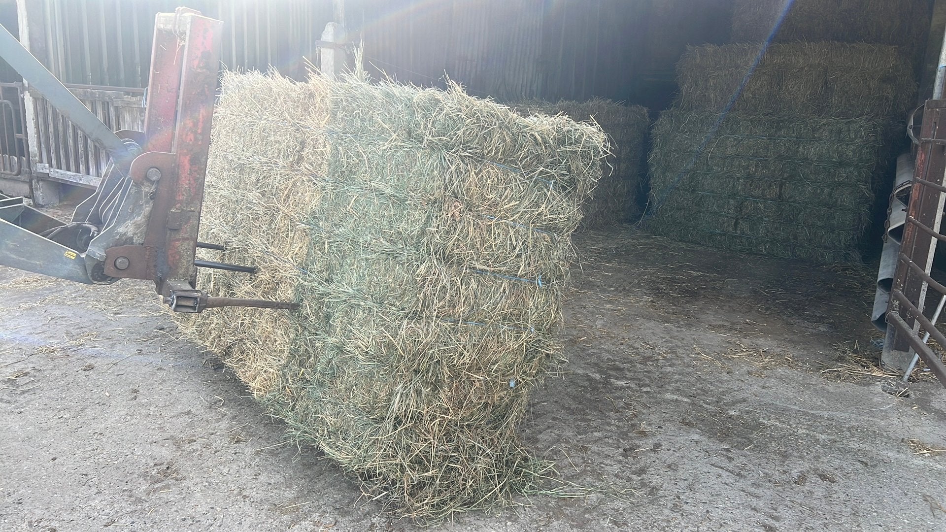 Pakken hooi te koop (50 stuks), Enlèvement