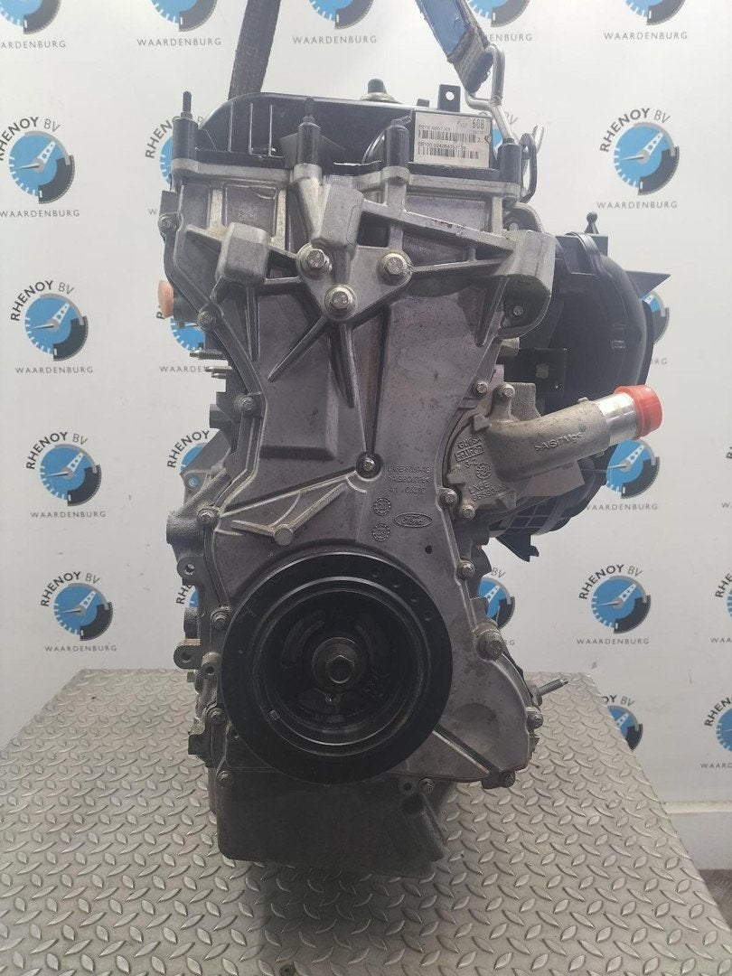 FORD KUGA ST-Line MOTOR 2024, Ophalen of Verzenden, Gebruikt, ARN erkend